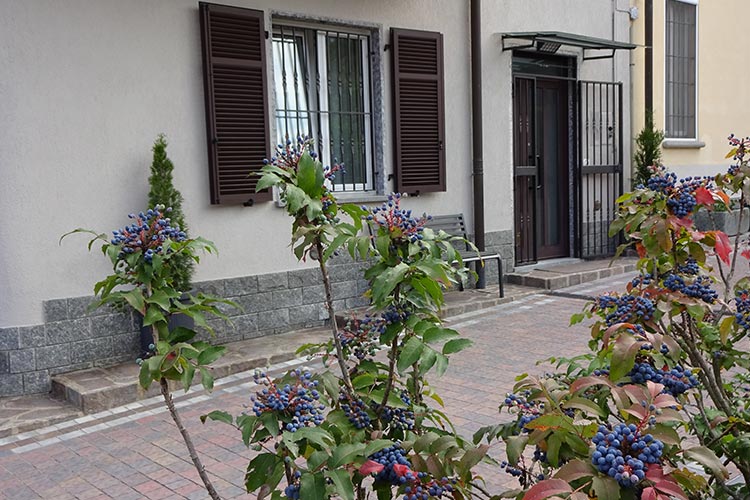 appartamento como bed breakfast appartamento como bed breakfast