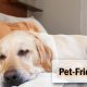 Pet friendly hotels Hotelogix